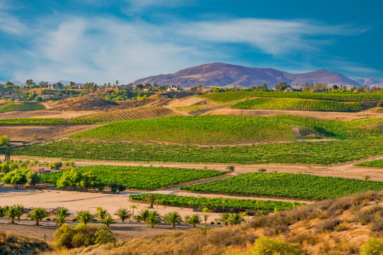 Looking over wine country in Temecula, CA